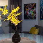 Apartman Moon